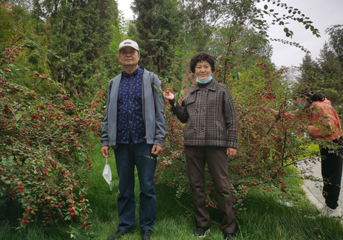 入秋后的西山植物园