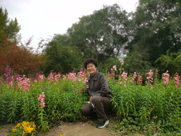 入秋后的西山植物园