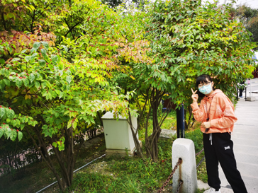 入秋后的西山植物园