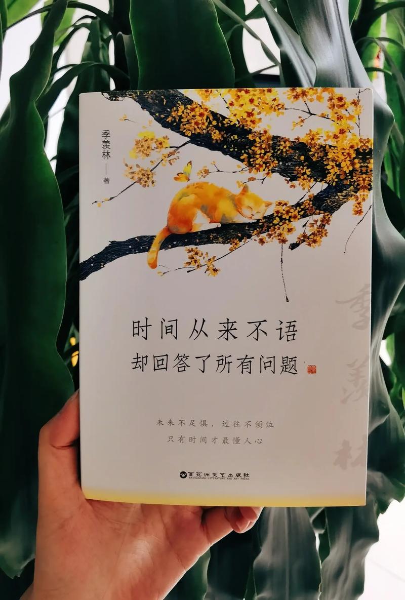 划开生活的迷雾，驶向希望